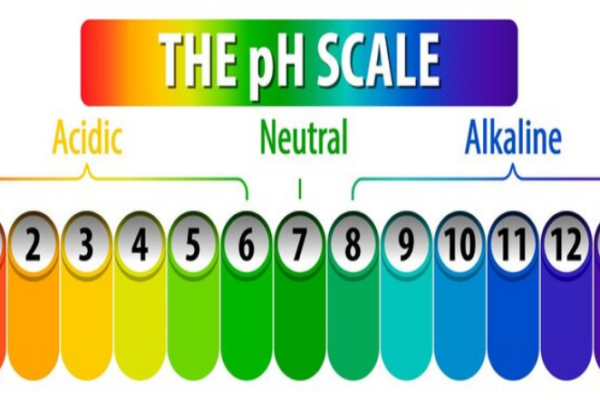 ph scale